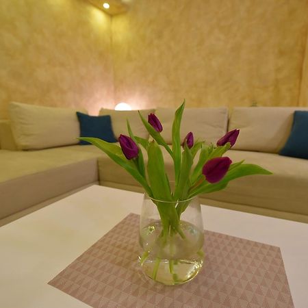 Apartman Centar Bg 贝尔格莱德 外观 照片